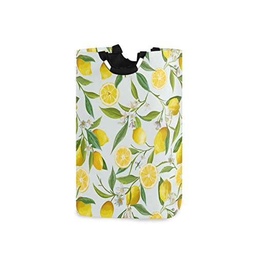 Lemon 002