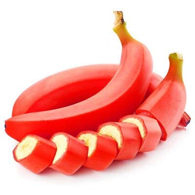 100 Pcs Red Banana Fruit Seeds for Planting - Fresh Dichondra Seeds - Perfect for Home Gardens, Indoor Pots & Tropical Landscaping