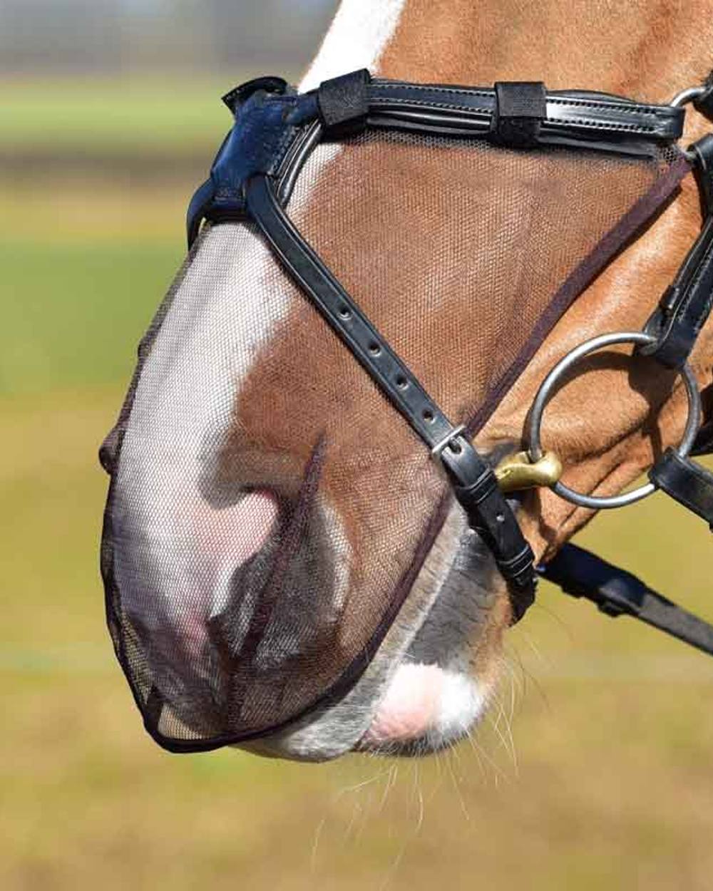 Equilibrium Net Relief Grackle Muzzle Nets for Horses - Breathable Fly Mask with Ears - UV Protection for Pasture & Riding - Perfect for Summer & Outdoor Activities