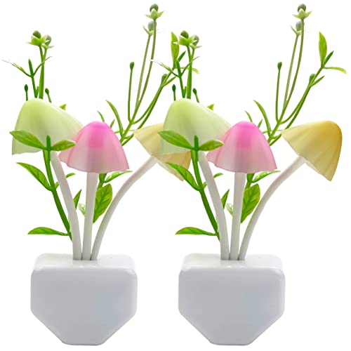 Mushroom and Water Plant [2 Pack]