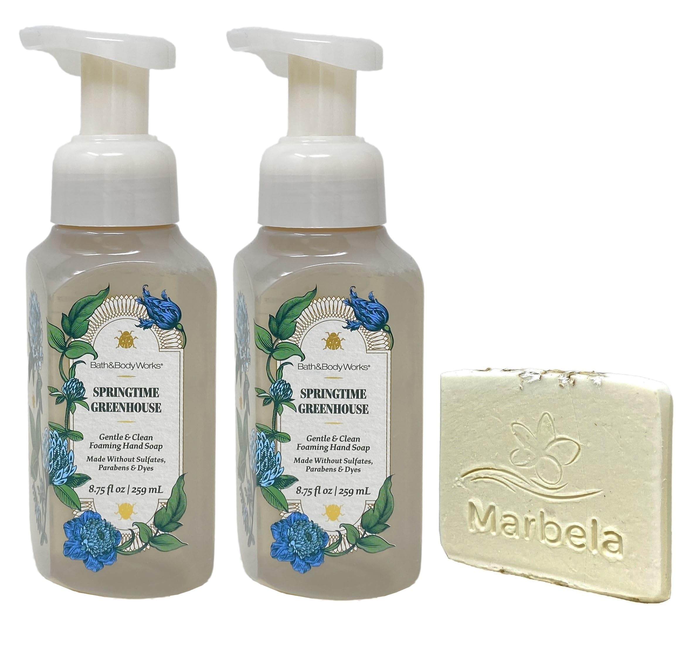 Bath & Body Works Spring Greenhouse 2-Pack Foaming Hand Soap Set - Gentle & Clean Formula with Free Natural Oats Sample Soap | Refreshing Hand Wash for Home, Office & Gifts