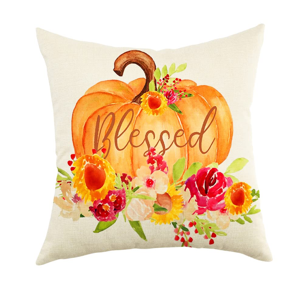18x18 Inch Pumpkin Throw Pillow Cover - Autumn Thanksgiving Farmhouse Decor, Harvest Cushion Case for Sofa, Couch & Seasonal Home Decoration | Perfect for Fall Living Room, Porch & Cozy Farmhouse Style