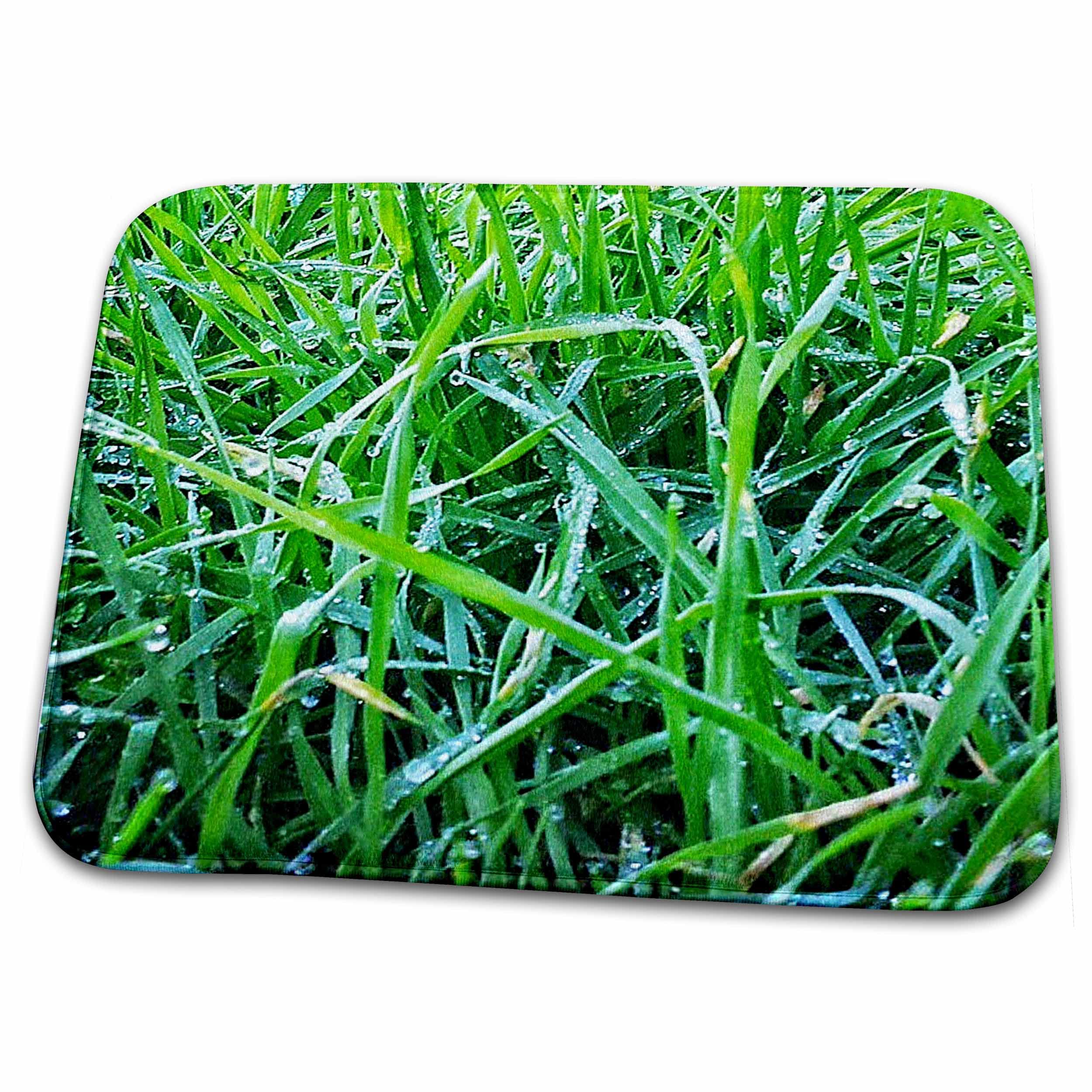 3DRose Fresh Dewy Grass Springtime Bathroom Rug Mat - Soft Non-Slip Bath Mat for Shower, Toilet & Vanity Area - Spring Floral Decor for Cozy Home & Spa-Like Bathroom Experience (Rug-306237-1)