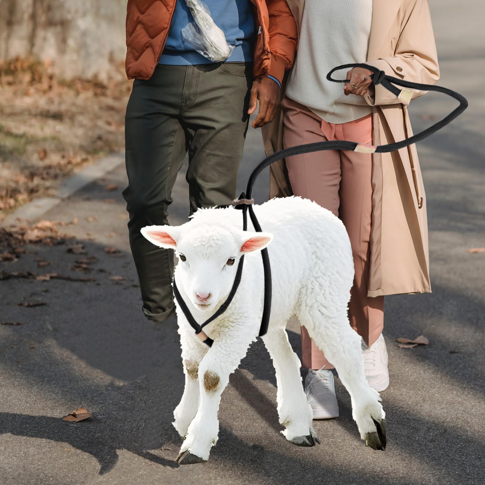 Premium Washable Goat Harness & Leash Set - Durable Livestock Supplies for Goats and Sheep, Ideal for Walking, Training, and Outdoor Adventures