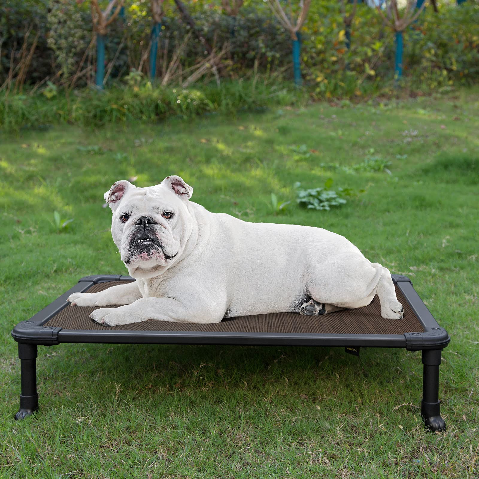 Veehoo Chew Proof Cooling Dog Bed - Durable Raised Pet Cot with Aluminum Frame for Indoor/Outdoor Use - Medium Brown