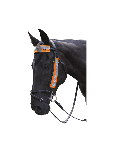 High Visibility Reflective Bridle Set for Horses - Safe Night Riding & Training Gear for Equestrian Sports