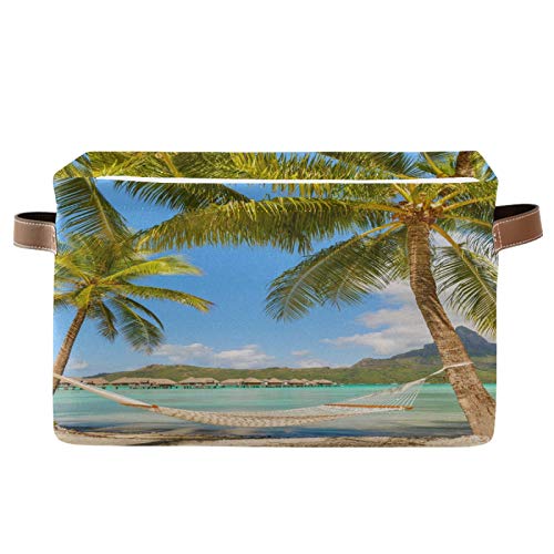 Beach Palm Tree