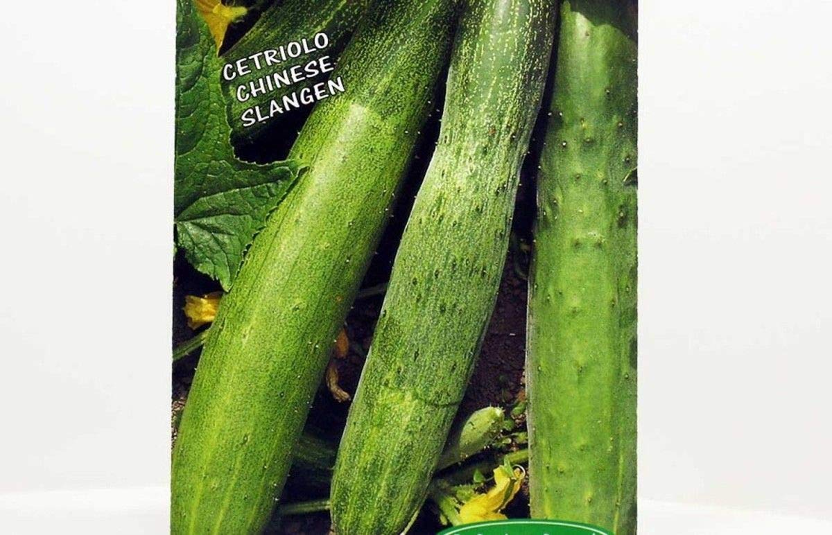 Chinese Snake Cucumber Seeds - 100 Count, Long 12-20 Inch Cucumbers with High Yield | Perfect for Fresh Salads, Pickling, and Asian Cuisine