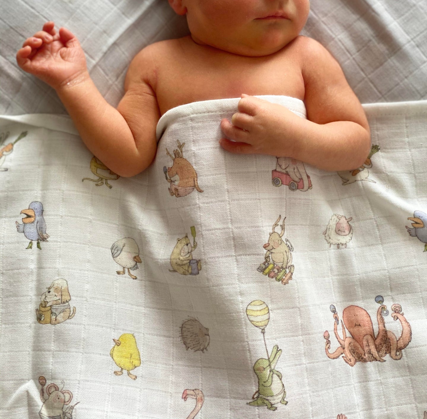 Atelier Choux Premium Muslin Baby Blanket - Soft Organic Cotton Swaddle Wrap for Newborns & Infants - Perfect for Nursery, Stroller, and Travel