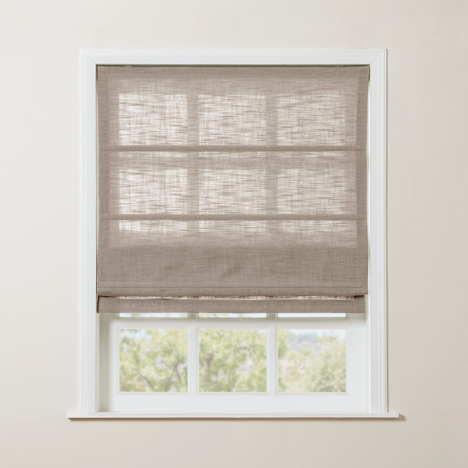 Burlywood Birch 1908-5