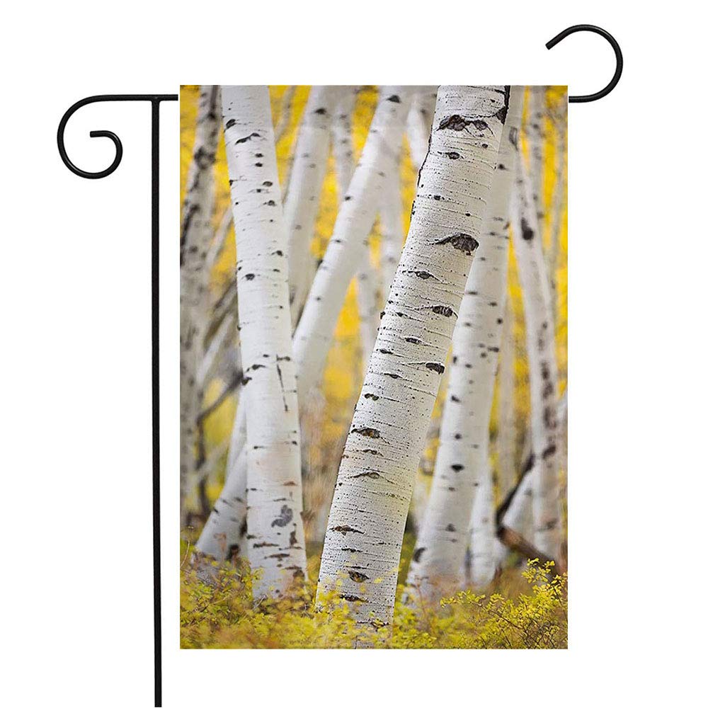 Welcome Garden Flag - Aspen Trees Landscape with Fall Foliage, 12x18 Inch Outdoor Seasonal Decoration for Patio, Lawn & Home | Perfect for Autumn Decor, Thanksgiving, and Nature-Themed Gifts