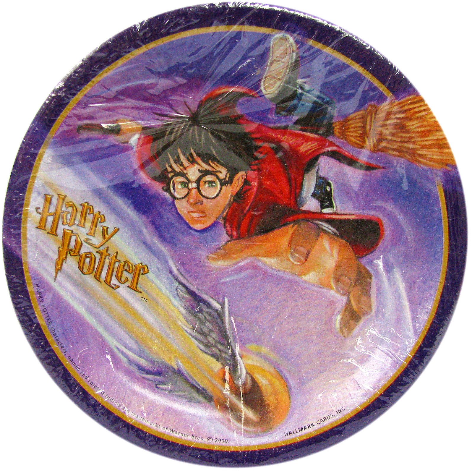 Harry Potter Sorcerer's Stone Seeker Themed Party Plates - 6.75 Inch Round Disposable Plates for Birthday Parties, Movie Nights & Themed Events