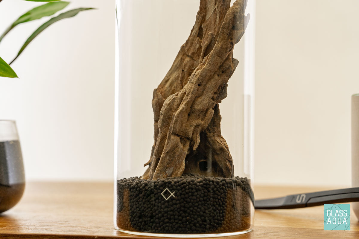 DIY Miniature Terrarium Kit for Home Decor - Complete Glass Garden Set with Plants & Accessories | Perfect for Office Desk, Living Room Centerpiece & Gift Ideas