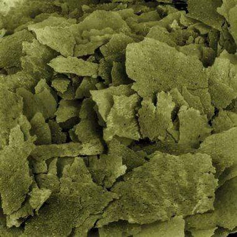 Fluval Bug Bites Spirulina Flakes - Premium Tropical Fish Food for Betta, Goldfish & Cichlids - Enhances Color & Growth - Ideal for Freshwater Aquariums & Fish Tanks