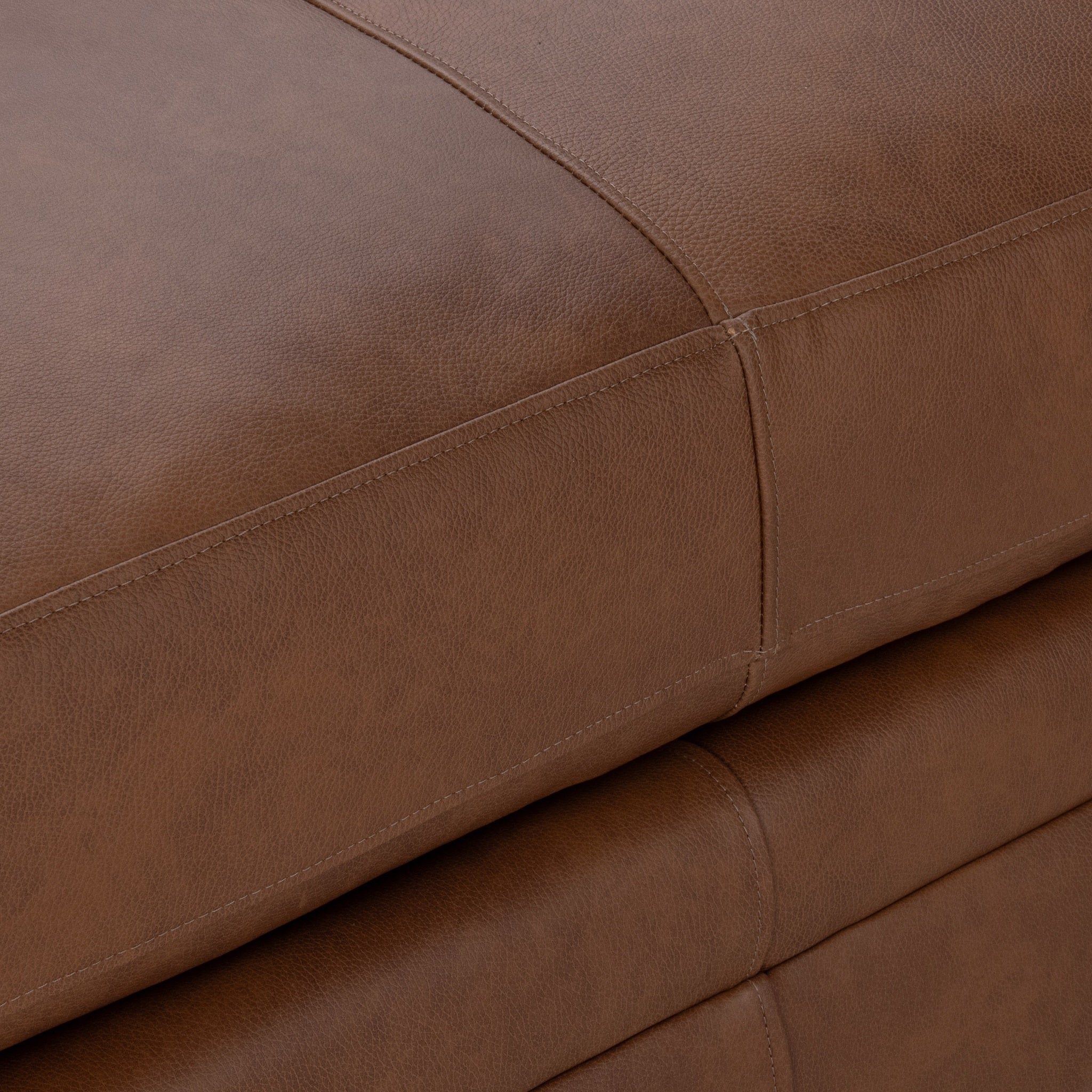 Audrey Daybed - Modern Upholstered Sofa Bed for Small Spaces | Perfect for Guest Room, Living Room & Office | Free Shipping