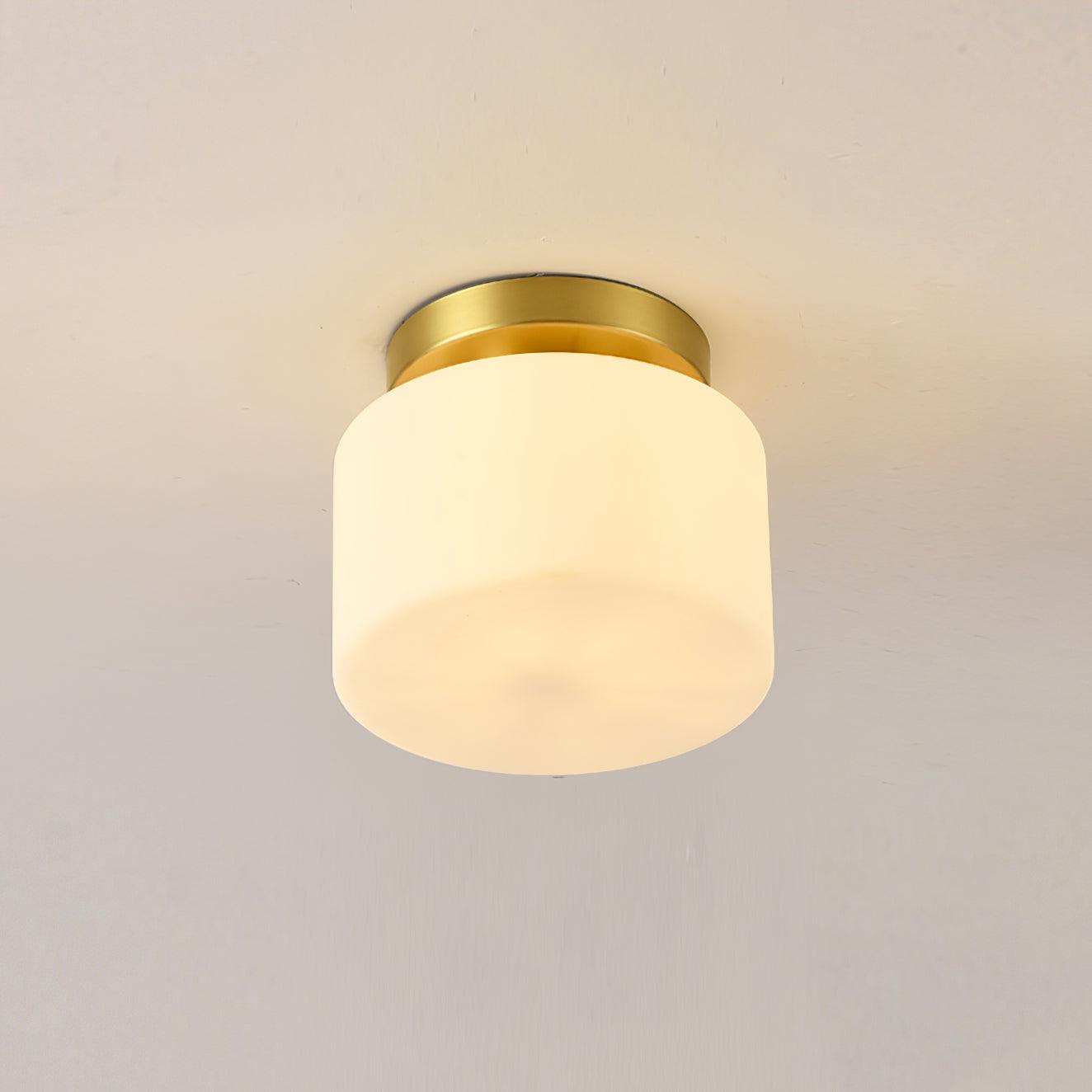 Clinio Flush Mount Ceiling Light - Modern LED Fixture for Bedroom, Kitchen & Hallway Lighting - Energy Efficient Dimmable Ceiling Lamp