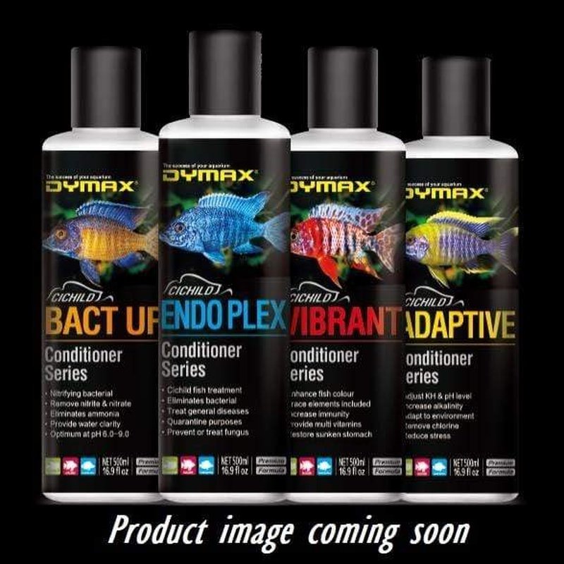 Dymax Cichlid Series Bact Up Nitrifying Bacteria 500ml - Beneficial Aquarium Water Treatment for African Cichlid Tanks | Reduces Ammonia & Nitrite | Ideal for New Tank Setup & Fish Health Maintenance