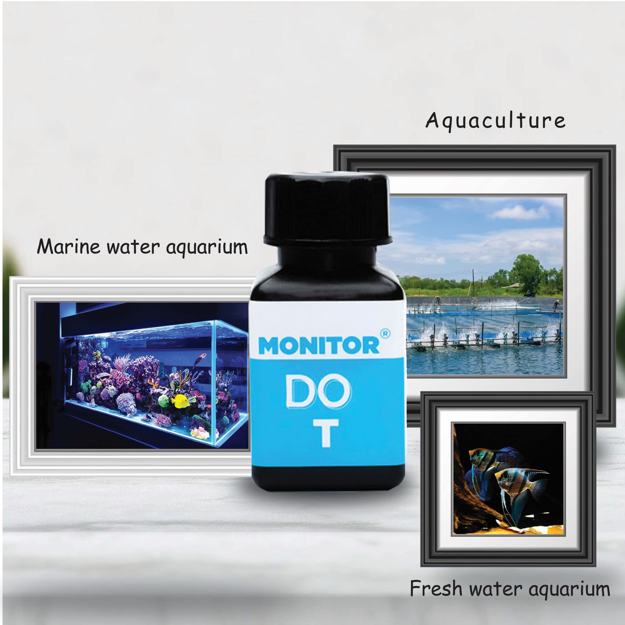 Dissolved Oxygen Test Kit for Aquariums & Aquaculture - 60 Tests (6 pcs) | Monitor Water Quality for Fish Tanks, Ponds & Hydroponics | Fast & Accurate DO Measurement