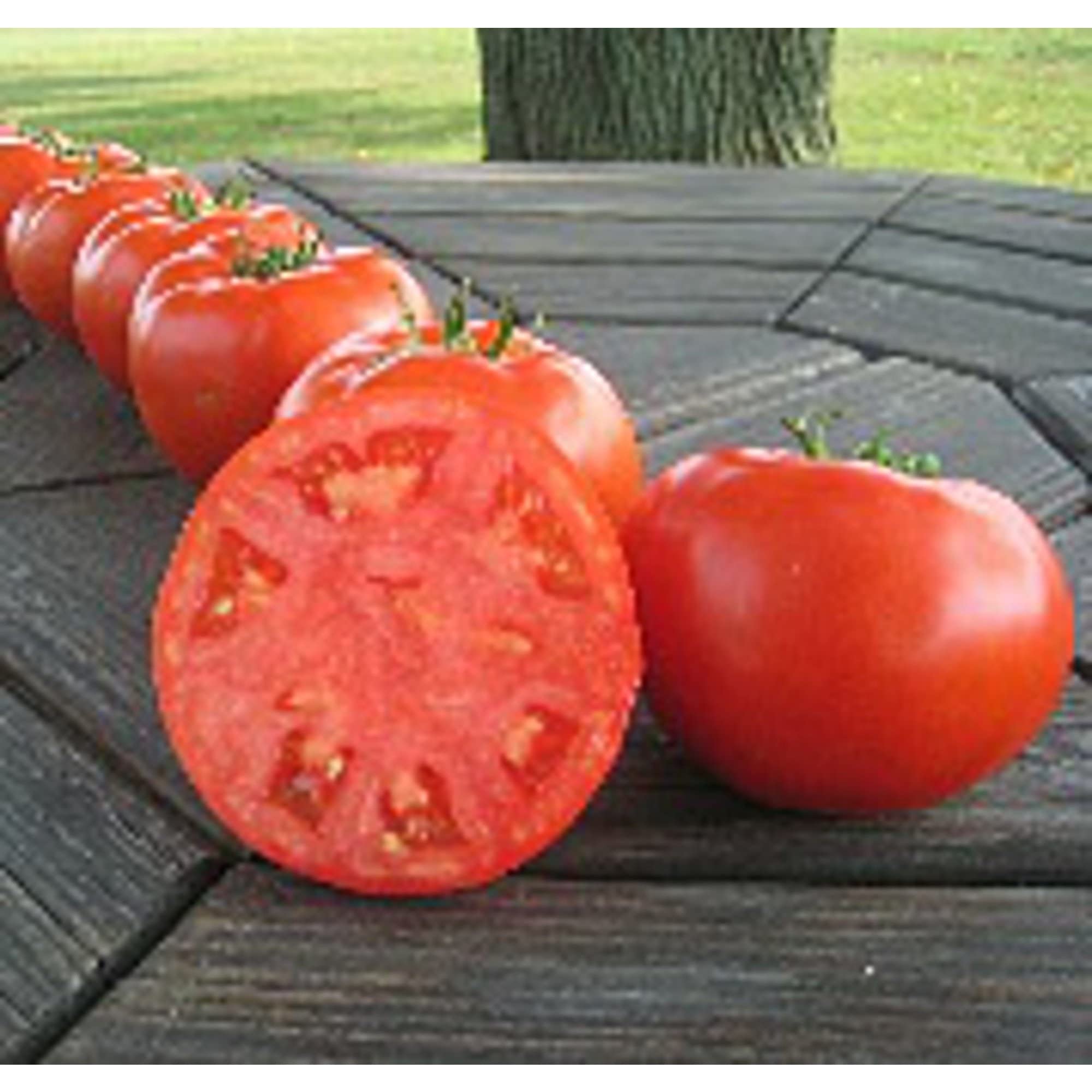 Non-GMO Mountain Merit Tomato Seeds (20+ Seeds) - Heirloom Vegetable Seeds for Planting, Home Garden, Greenhouse & Outdoor Growing - Perfect for Fresh Salads, Sauces & Canning