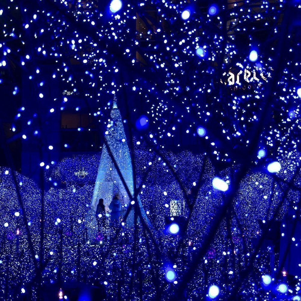 Solar Powered Outdoor String Lights - 20ft Waterproof 30 LED Christmas Lights with 8 Lighting Modes | Decorative Fairy Lights for Garden, Patio, Lawn, Fence, Party & Wedding Decorations (Blue) - Perfect for Backyard, Porch and Holiday Lighting