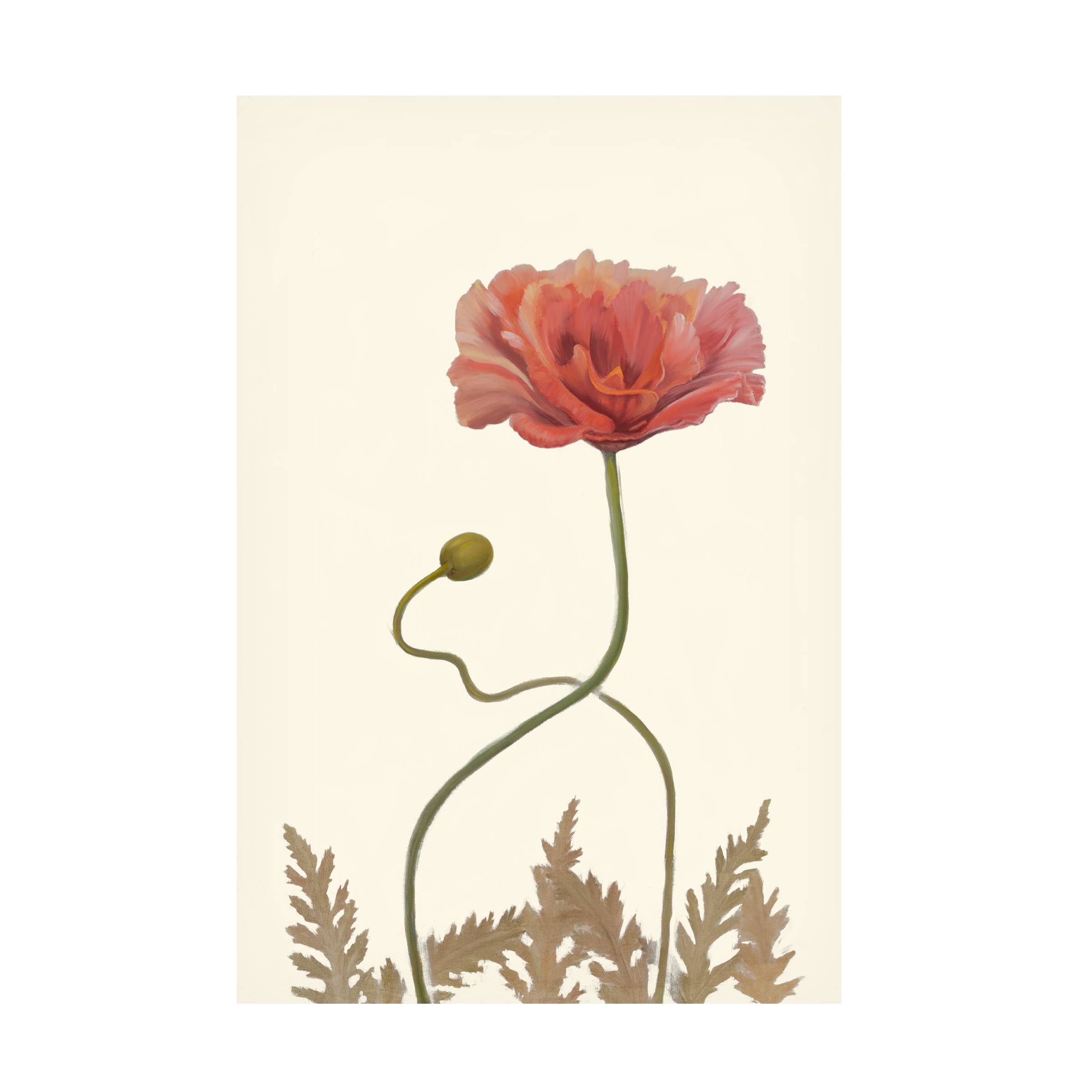 Sandra Iafrate 'Coral Poppy Display IV' Canvas Wall Art Print - Modern Floral Home Decor for Living Room, Bedroom & Office