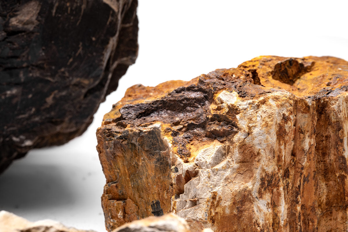 Natural Petrified Wood Stone - Unique Home Decor & Collectible Fossil for Geology Enthusiasts | Perfect for Display Shelves, Office Desks, and Gift Giving