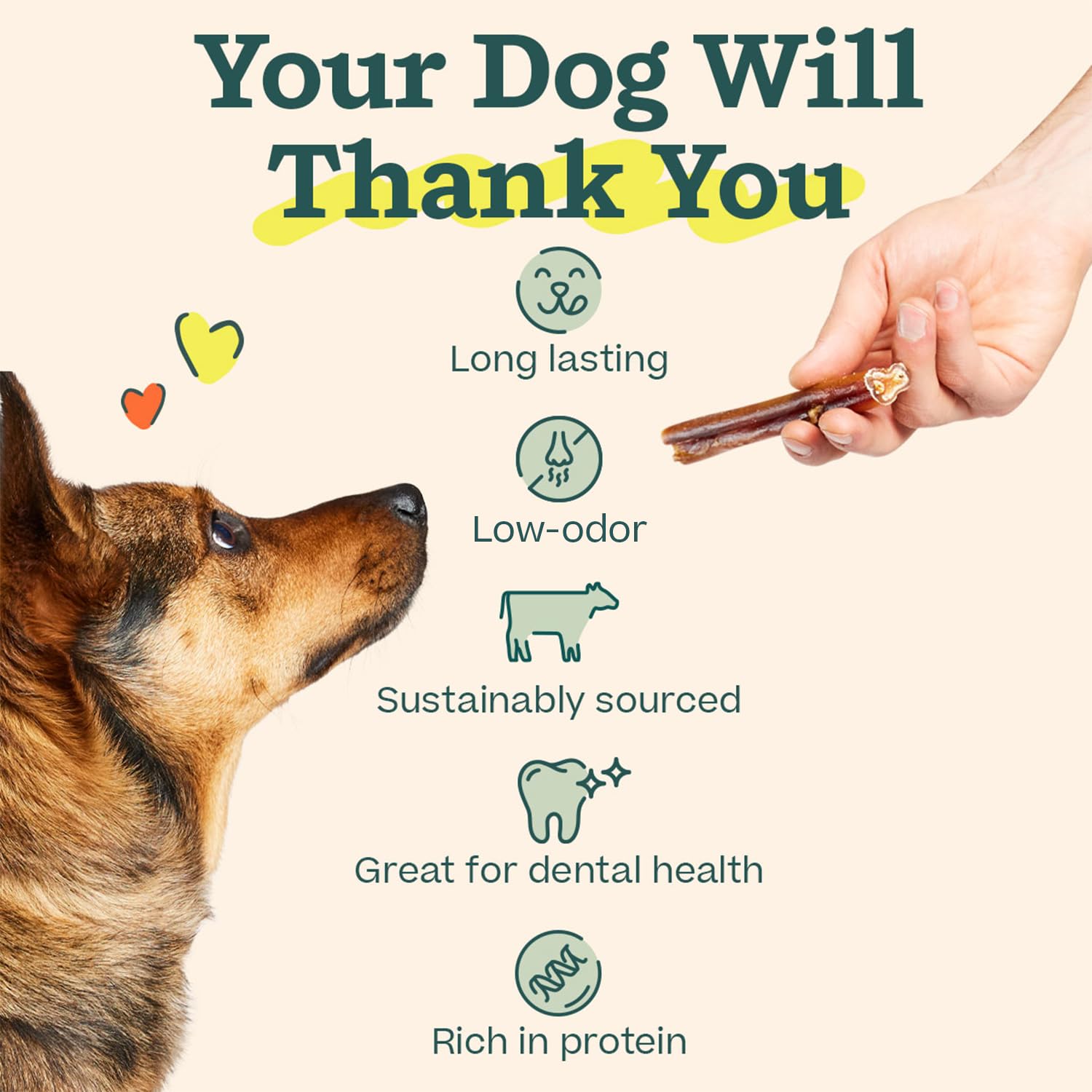 WOOF Bully Sticks Dog Treats - Natural Long-Lasting Chew Sticks for Dogs, Free-Range Grass-Fed Beef, 6 Inch (5 Pack) - Perfect for Teething Puppies, Aggressive Chewers & Dental Health