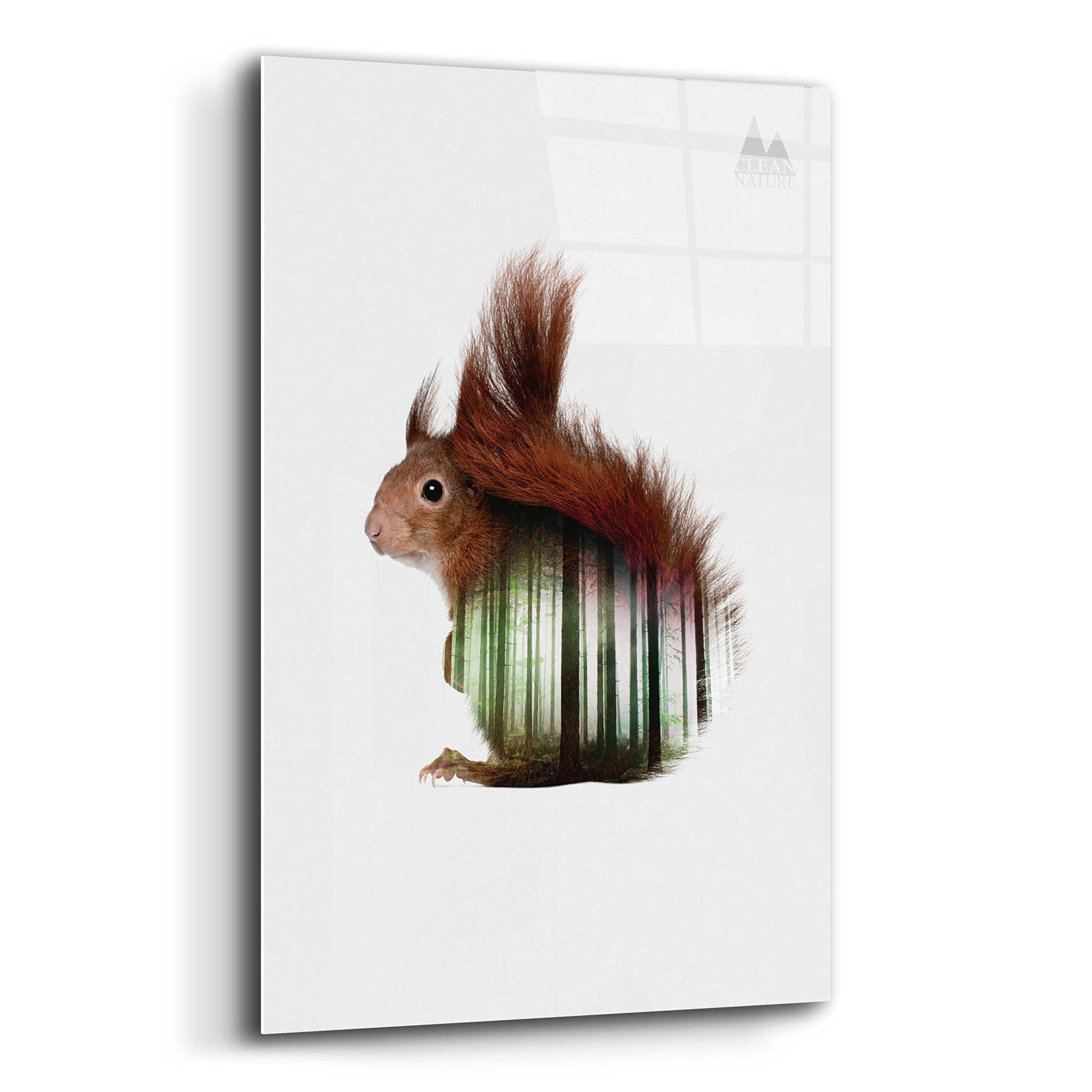 Epic Art 'Squirrel' by Clean Nature - Premium Acrylic Glass Wall Decor, 16x24 Inches - Perfect for Living Room, Bedroom & Office Decor