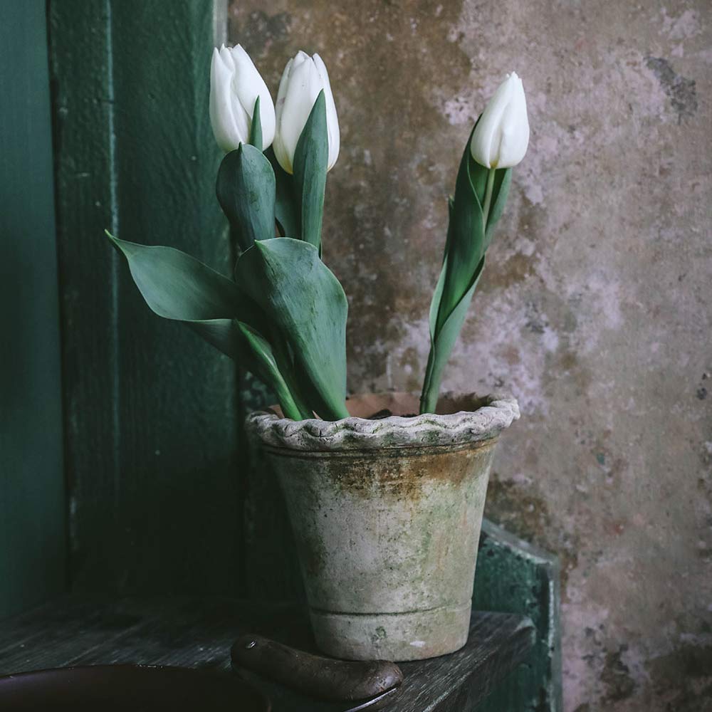 Aged Terracotta Petal Planter - Handmade Flower Pot for Indoor/Outdoor Plants, Succulents & Home Decor | Perfect for Garden, Patio, Balcony & Living Room Decor