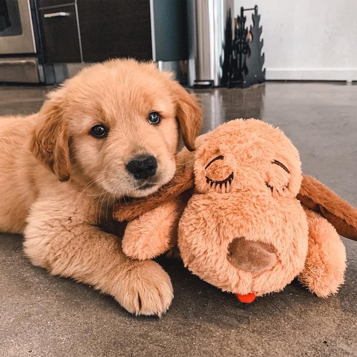 Original Snuggle Puppy Essentials Starter Kit - Heartbeat Dog Toy & Calming Aid with 3 Heat Packs, Puppy Teething Chew Toy & Soft Dog Blanket | Perfect for New Puppies, Separation Anxiety Relief & Crate Training Comfort