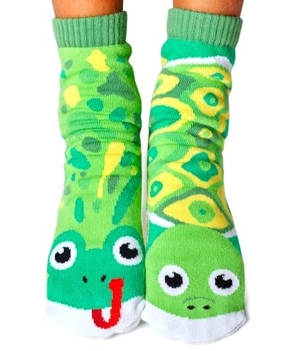 Frog & Turtle