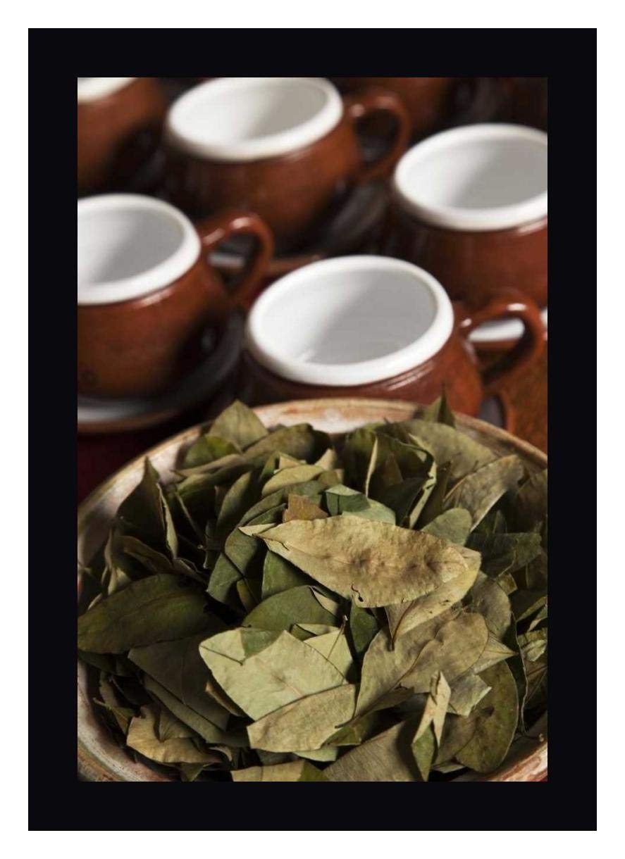 Peru Cuzco Coca Leaves & Tea Cups Framed Canvas Art Print by Wendy Kaveney - 14x20 Inches Black Frame - Ready to Hang Wall Decor for Living Room, Bedroom or Office