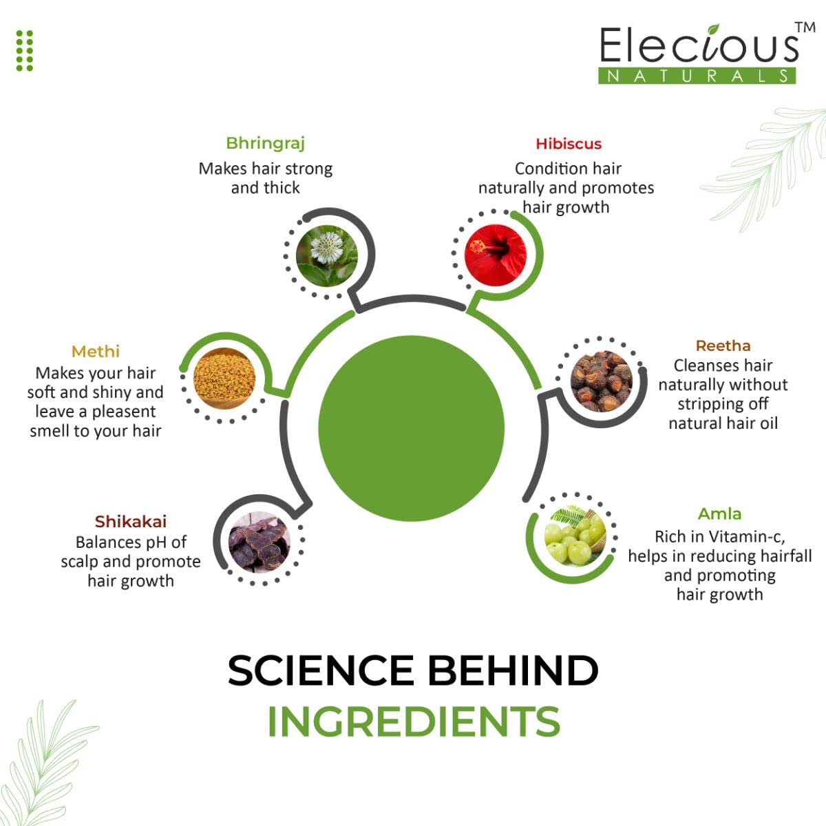 Elecious Naturals Complete Hair Care Combo Kit - 6 Ayurvedic Powders (Amla, Reetha, Shikakai, Methi, Bhringraj, Hibiscus) | 100% Natural & Chemical-Free | Strengthens Hair, Reduces Hair Fall, Promotes Growth | For Shiny, Silky & Healthy Hair | Perfect for Daily Hair Care & Scalp Treatment
