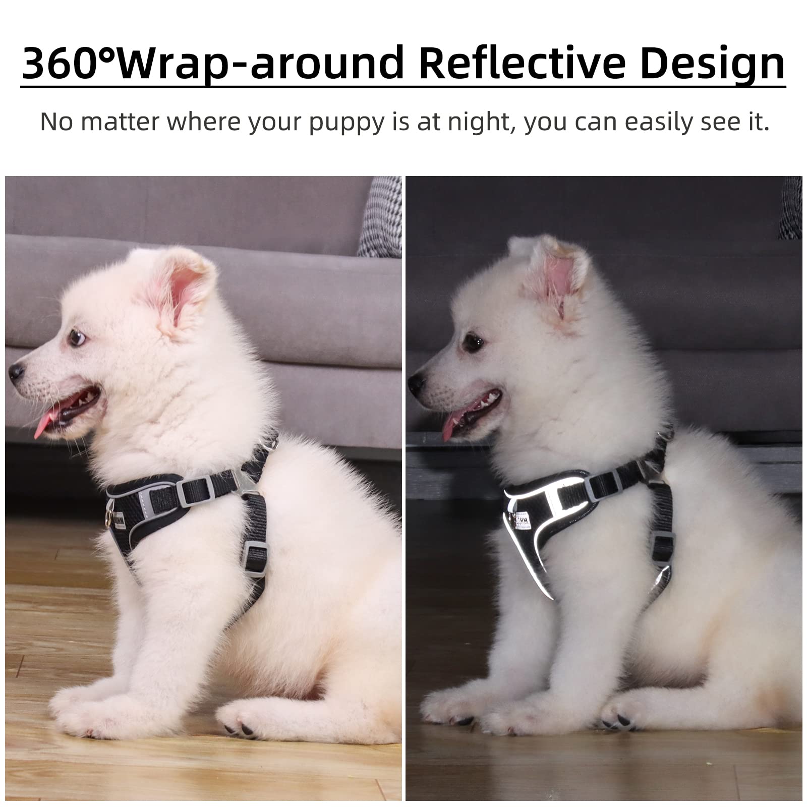 No Pull Dog Harness with 2 Leash Clips - Adjustable Breathable Padded Vest for Small & Medium Dogs - Reflective Safety Harness & Leash Set (Black, Medium) - Perfect for Walking, Training & Outdoor Adventures