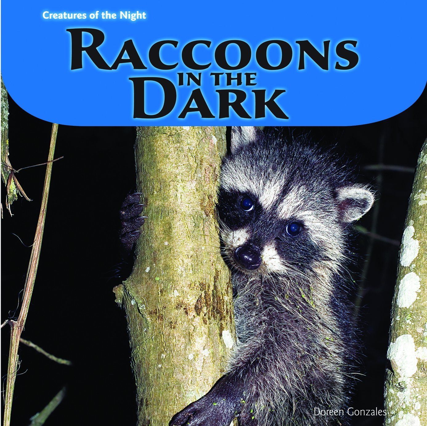 Raccoons in the Dark - Nocturnal Wildlife Book | Learn About Nighttime Animals & Their Habits | Perfect for Nature Lovers & Kids' Bedtime Stories