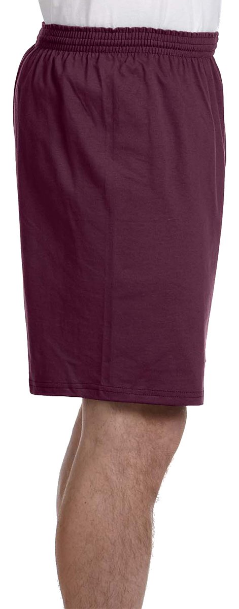 Champion Men's & Women's 8187 Hoodie - Comfortable Cotton Blend Pullover for Casual Wear, Gym, and Outdoor Activities