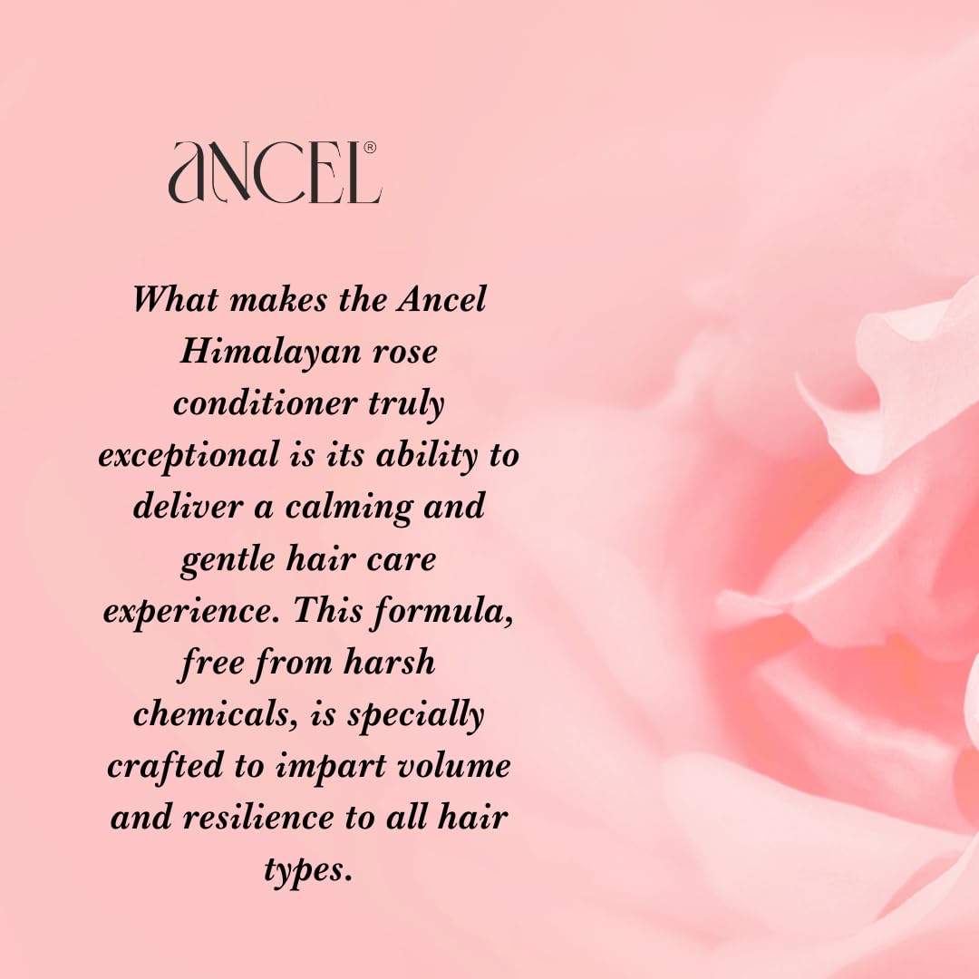 Ancel Himalayan Rose Hair Conditioner 300ml - Hydrating & Volumizing with Rose Hydrosol, Glycerin, Olive Oil & Shea Butter - Deep Cleansing for Men & Women - Perfect for Dry, Damaged Hair & Daily Nourishment