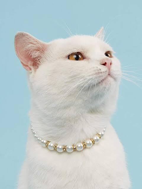 Elegant Pet Collar with Pearl & Crystal Beads - Adjustable Small Size for Cats & Dogs - Perfect for Special Occasions & Daily Walks