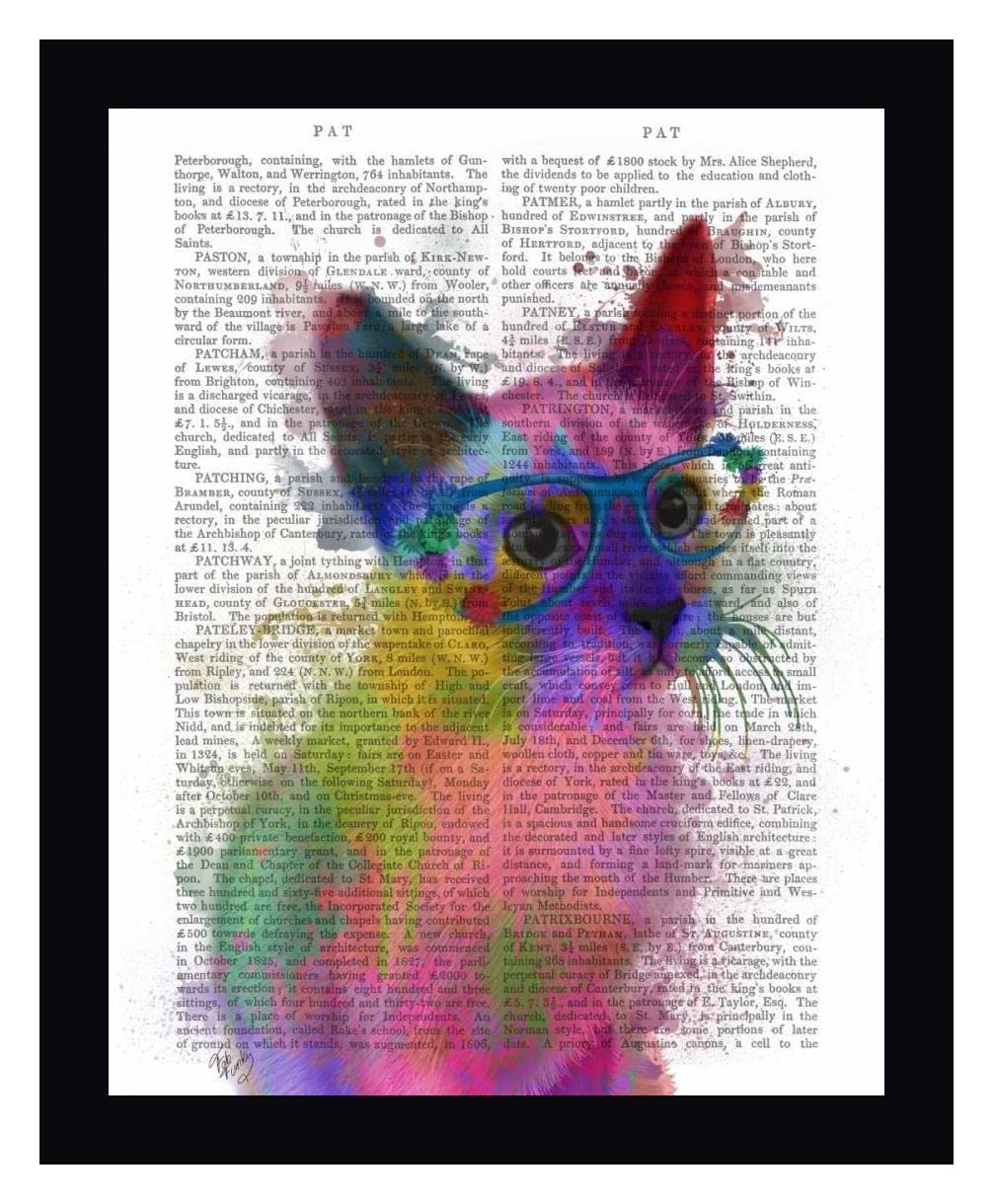 Fab Funky Rainbow Splash Cat 2 - 17x20 Inch Framed Canvas Wall Art with Black Frame - Ready to Hang - Perfect for Living Room, Bedroom & Office Decor