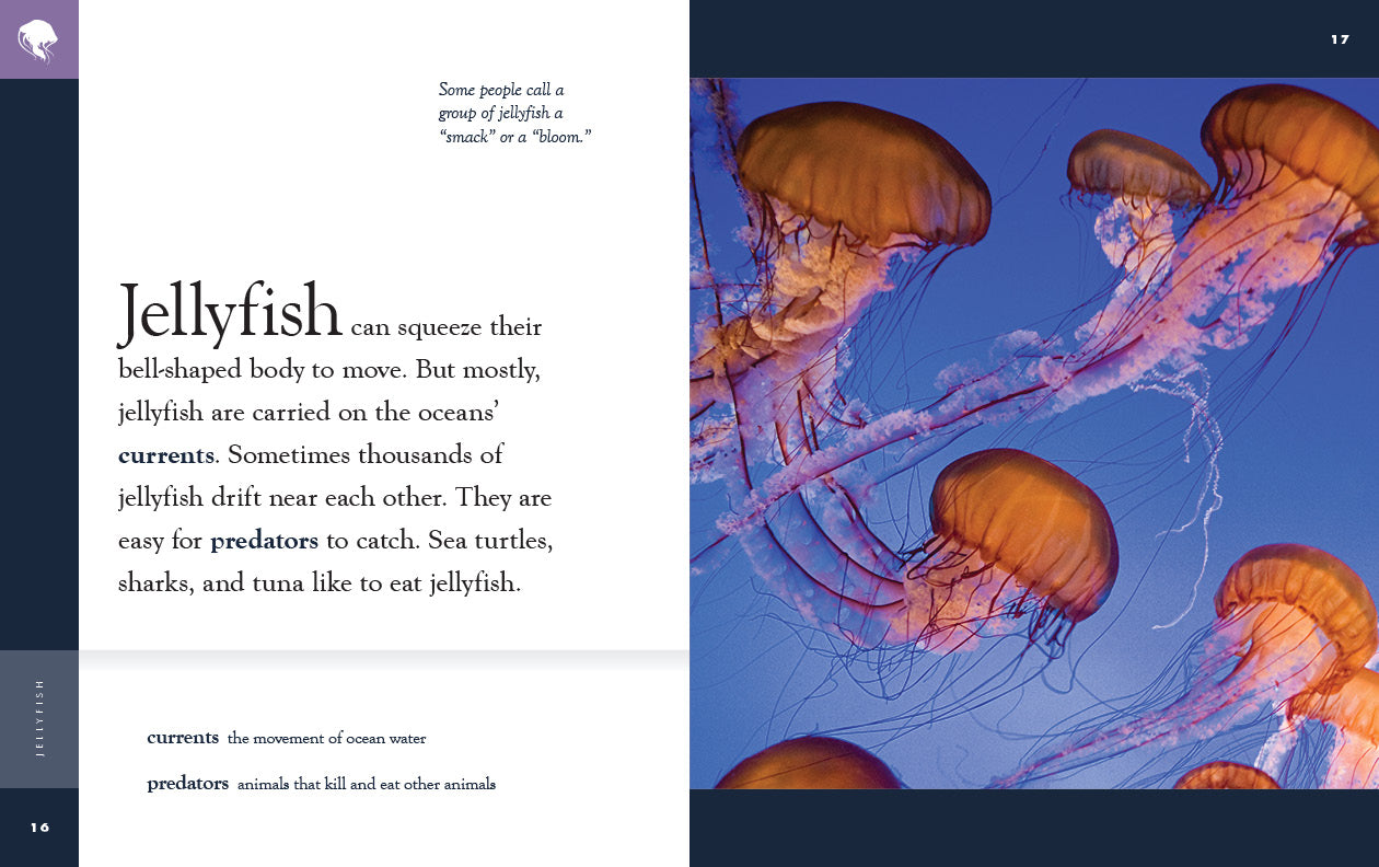 Jellyfish Book 9781640265660 - Marine Life Guide, Ocean Creatures Encyclopedia | Perfect for Kids, Students & Marine Biology Enthusiasts