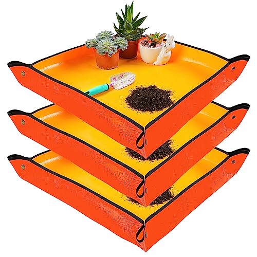 3pcs Orange