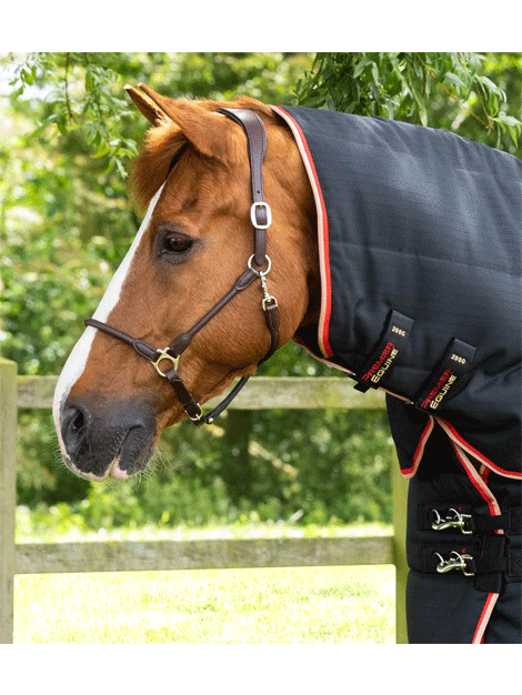 Premier Equine Stable Buster 200g Heavy Duty Stable Rug with Neck Cover - Warm Winter Horse Blanket for Cold Weather Riding & Stable Use