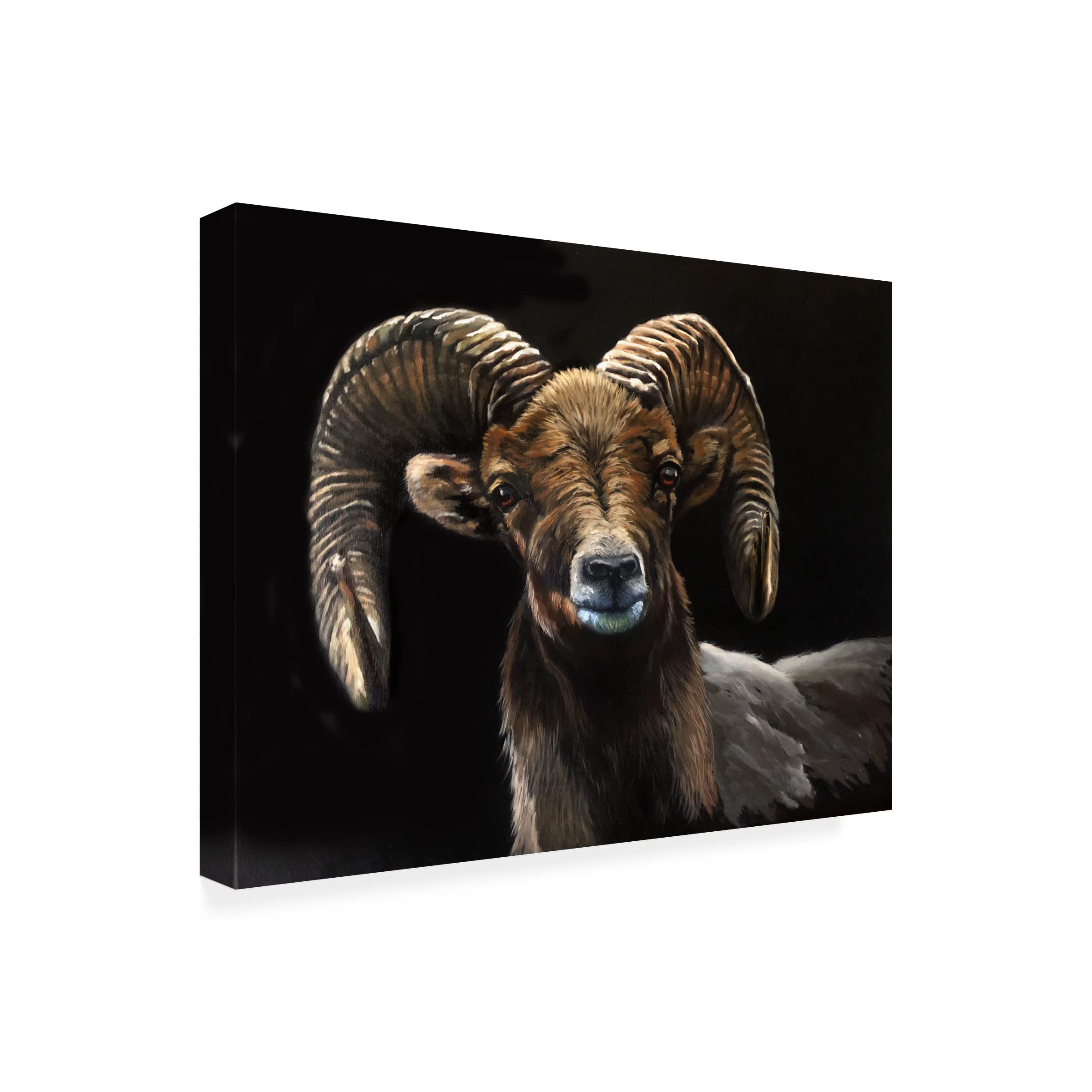 Trademark Fine Art 'Ram' Canvas Wall Art by Eileen Herb-Witte - Modern Home Decor for Living Room, Bedroom & Office