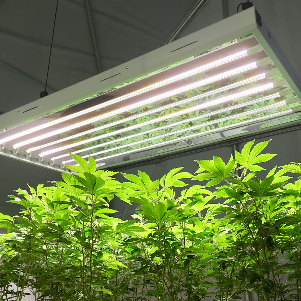 Active Grow T5 High Output 4FT LED Grow Light Bulb - 24W Full Spectrum Sun White Light with CRI 95 for Indoor Plants, Vegetables, Blooming, Leafy Greens & Microgreens - Plug & Play (4-Pack) - Perfect for Hydroponics, Greenhouses & Indoor Gardening