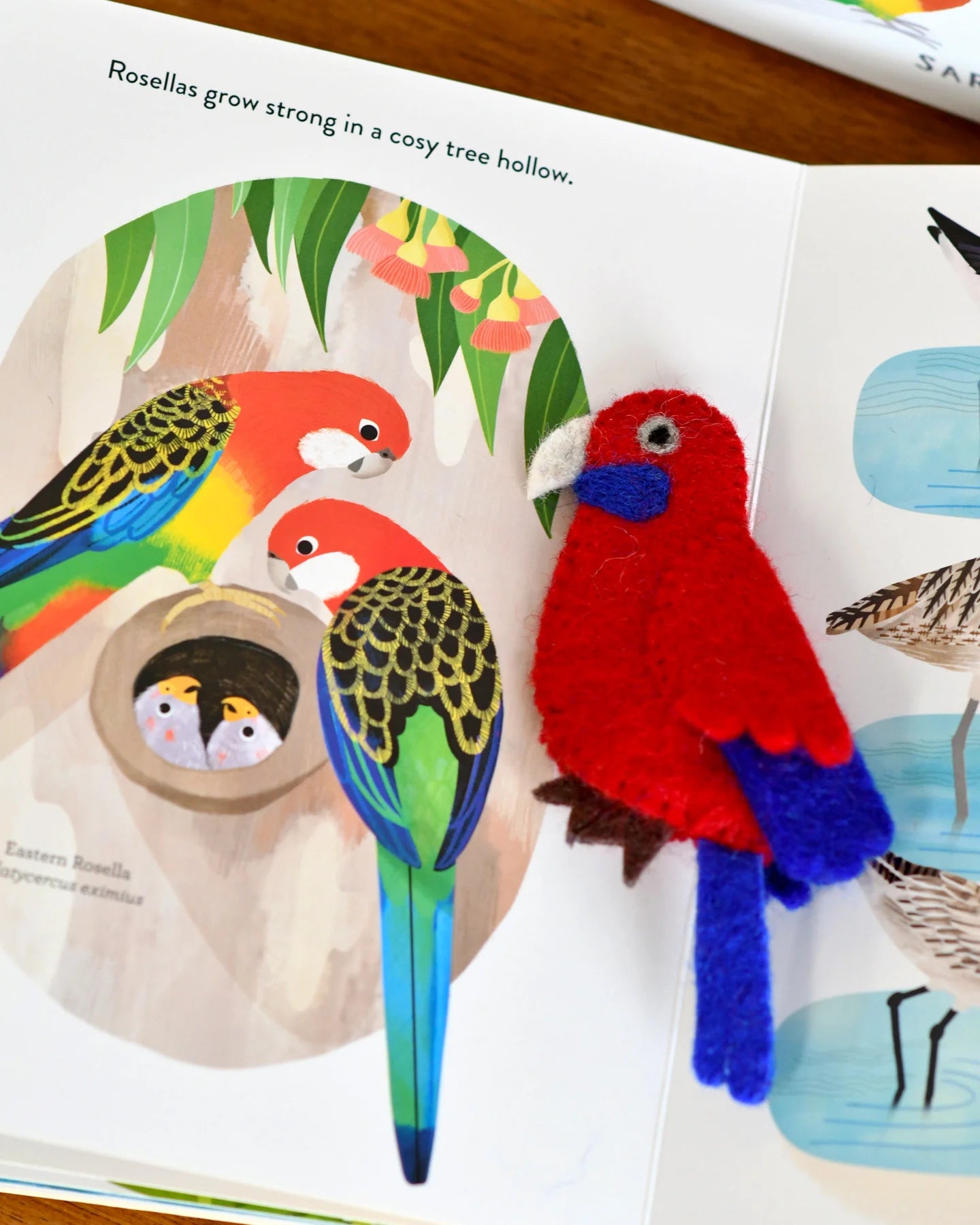 Busy Beaks Interactive Finger Puppets & Storybook Set - Fun Educational Toy for Toddlers, Perfect for Storytime, Preschool Learning & Imaginative Play