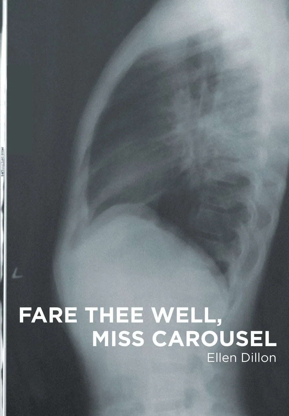 Fare Thee Well, Miss Carousel by Ellen Dillon - Heartwarming Historical Fiction Novel for Book Clubs & Reading Enthusiasts