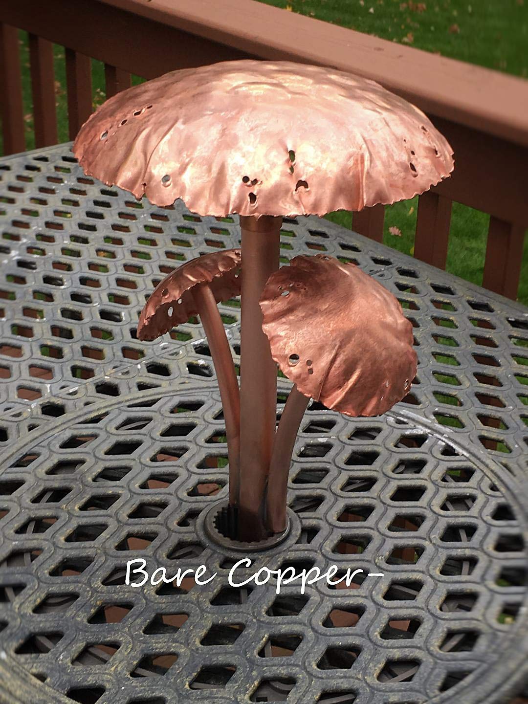 Copper Metal LED Landscape Lights with Two Mushroom Caps - Perfect for Garden Pathways, Patios, and Outdoor Decor