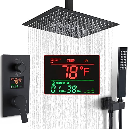 Matte Black Ceiling Mount