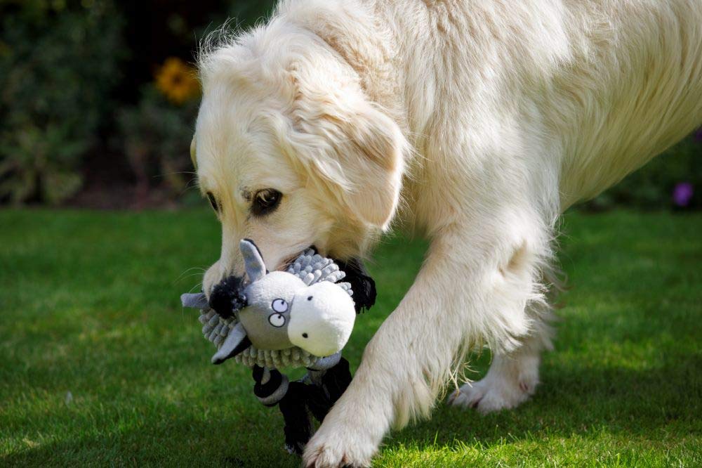 Farmyard Buddies Noodle Donkey Dog Toy - Durable Chew Toy for Small & Medium Dogs - Fun Interactive Plush Animal Toy for Playtime & Training - Perfect for Indoor & Outdoor Use