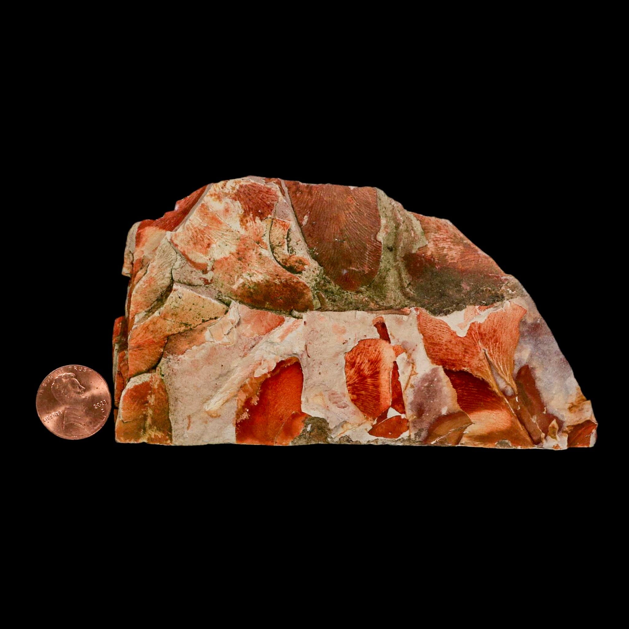 4.6